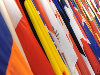 Close-up shot of the OSCE participating States' flags at the Hofburg.