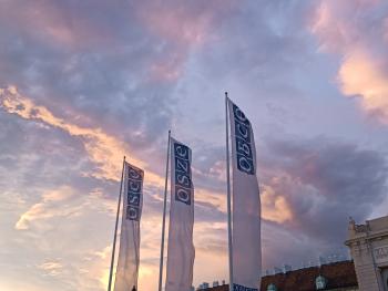 OSCE Flags in front of Hofburg, Vienna.