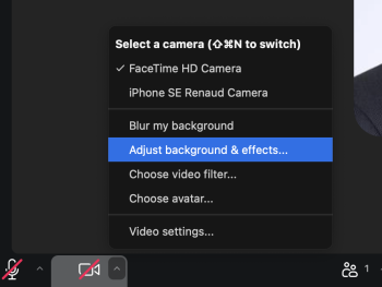 Zoom background settings